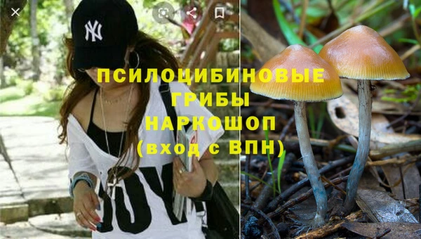 трава Абаза