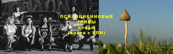 трава Абаза