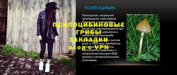 трава Абаза