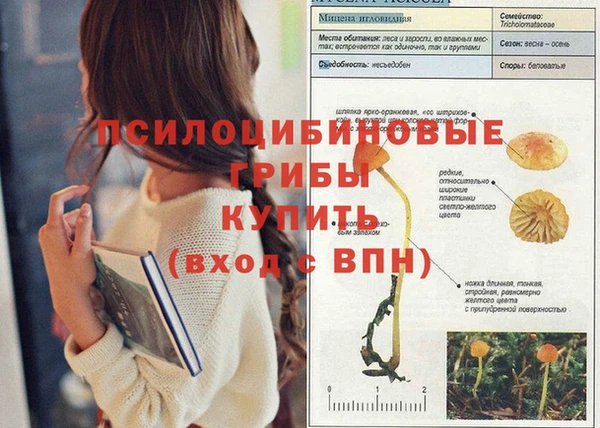 трава Абаза