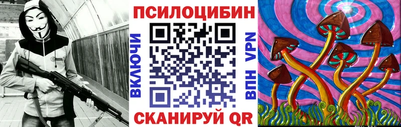 как найти закладки  Новотитаровская  omg ссылки  shop телеграм  Псилоцибиновые грибы Psilocybe 